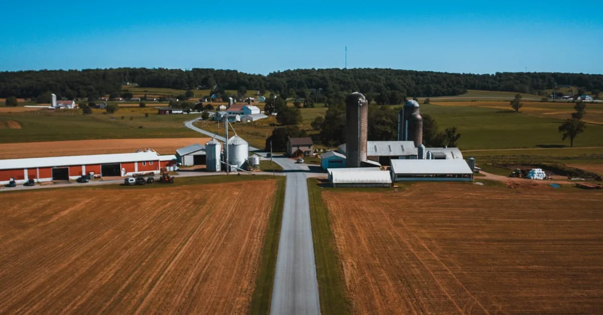 Как делают силос: заготовка, ферментация и польза для животноводства